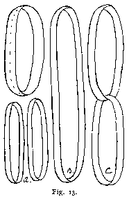 Fig 13